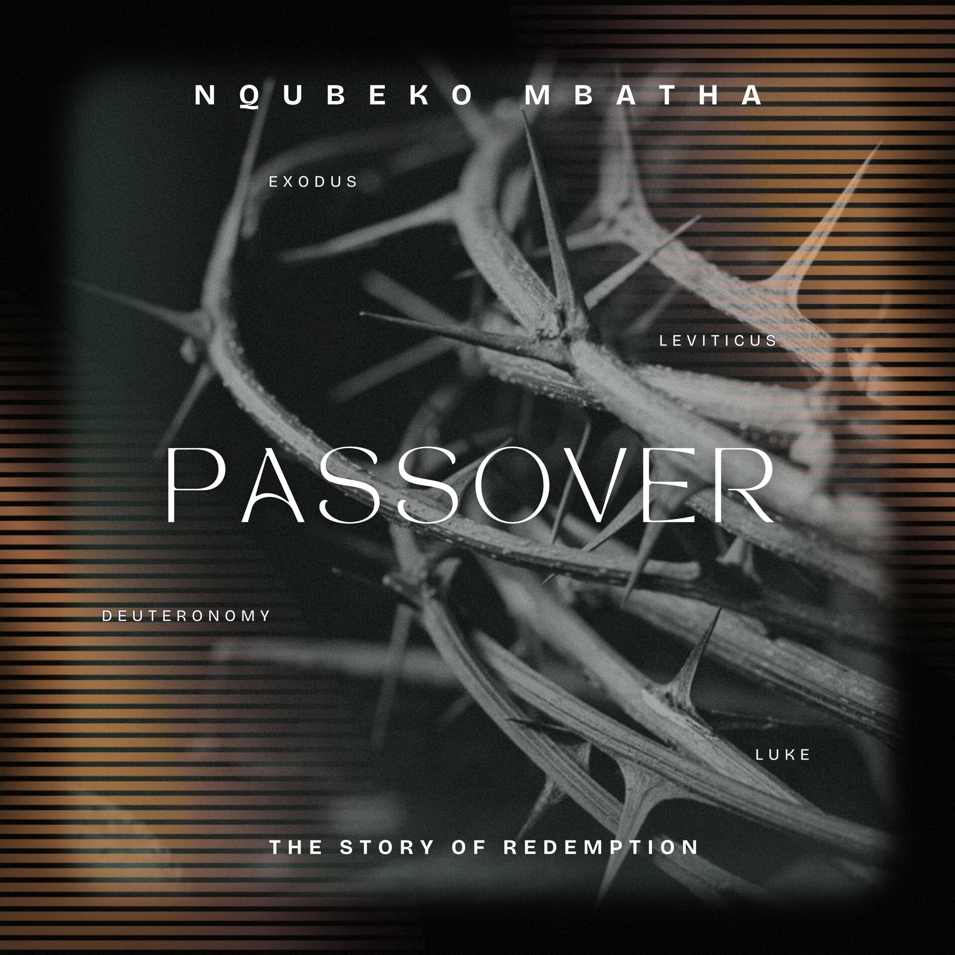 Album cover of Passover