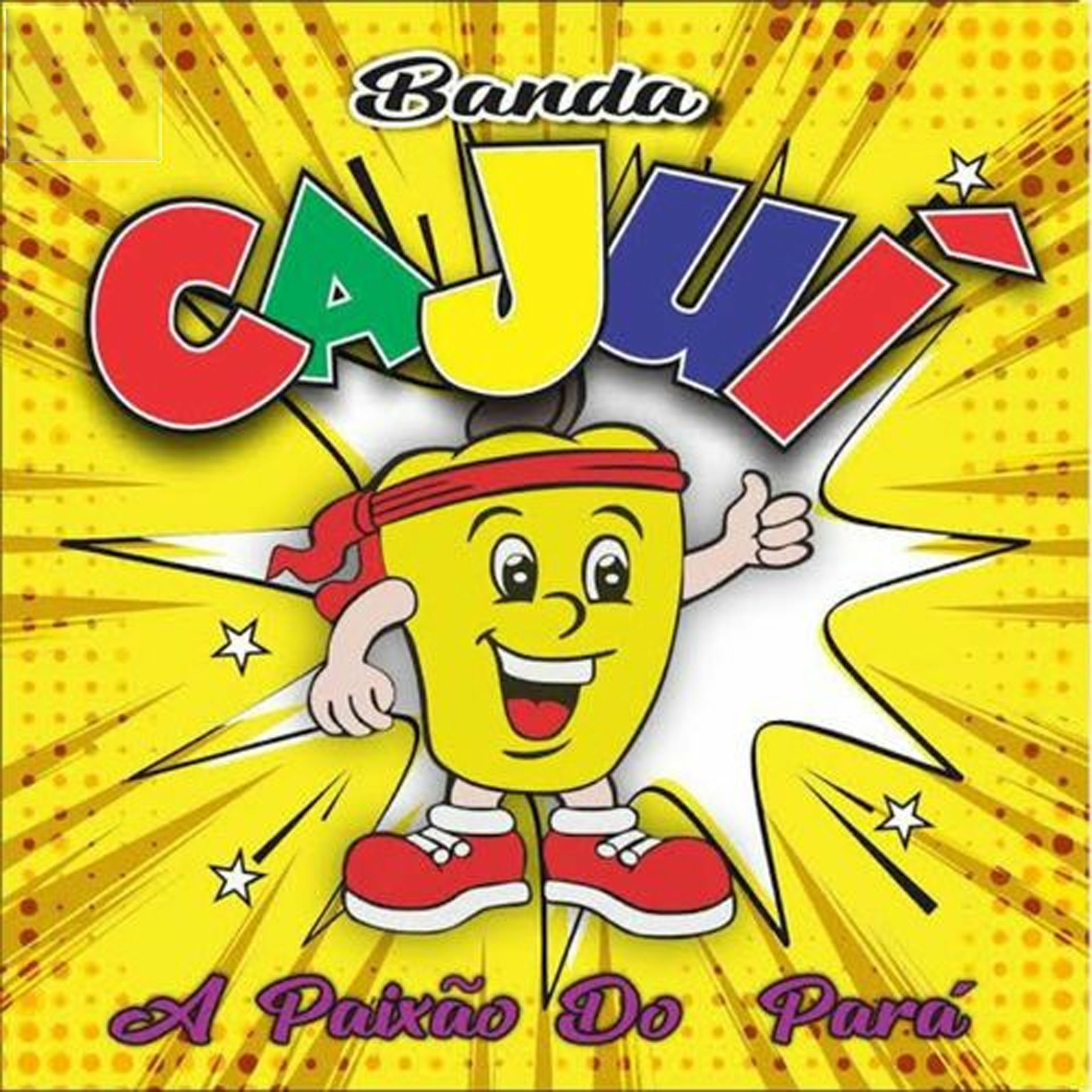 Album cover of A Paixão do Pará