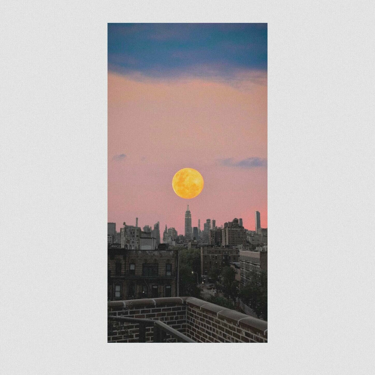 Album cover of Light It Up