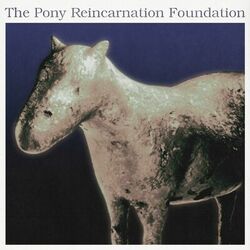 Cover of The Pony Reincarnation Foundation