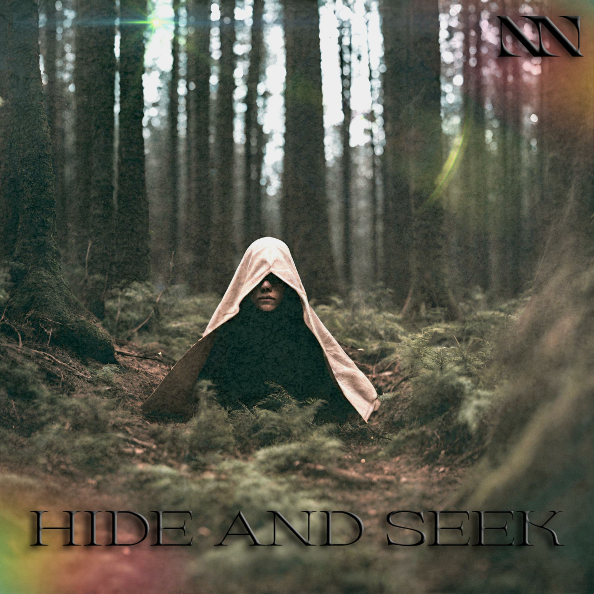 Album cover of Hide And Seek