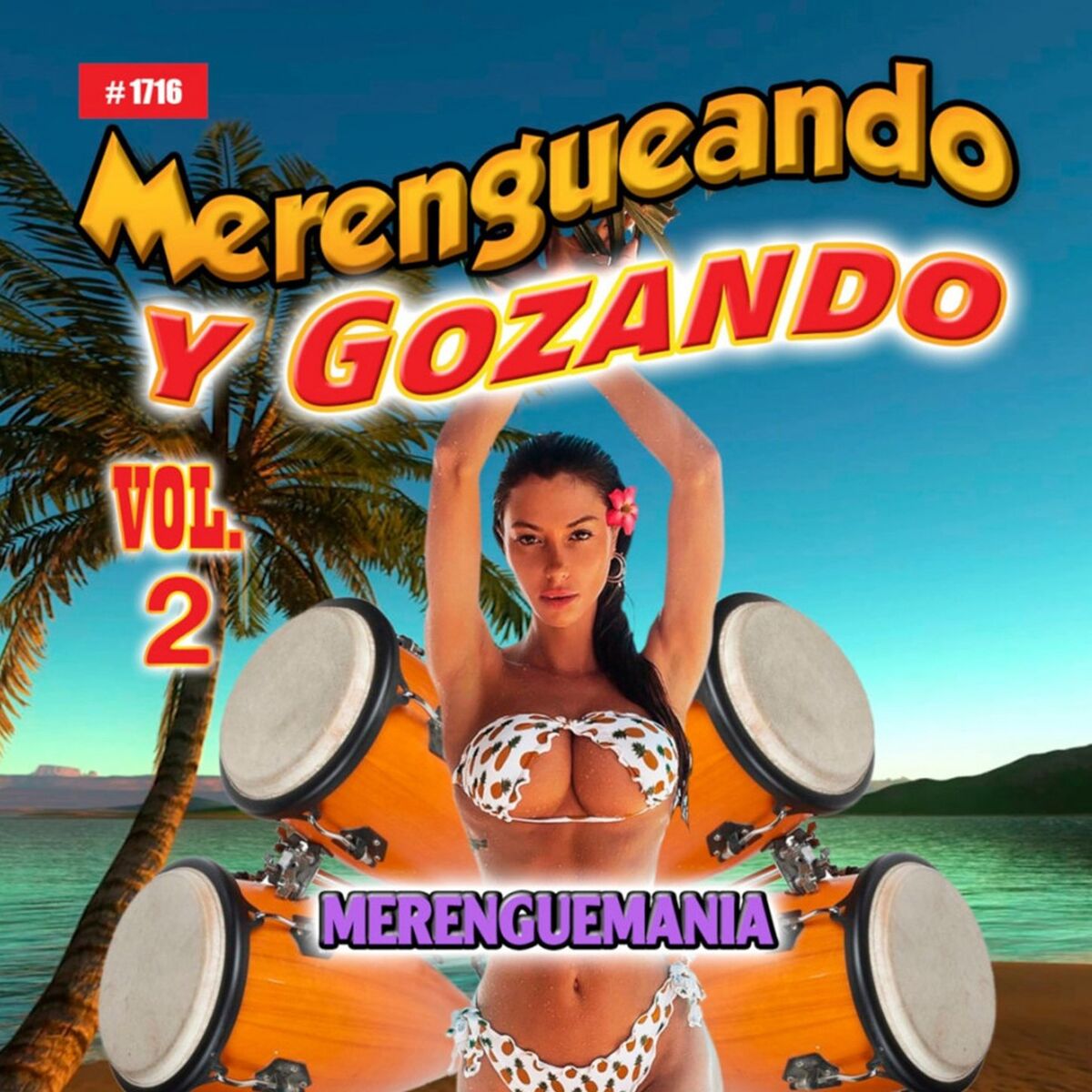 Album cover of Merengueando Y Gozando, Vol. 2