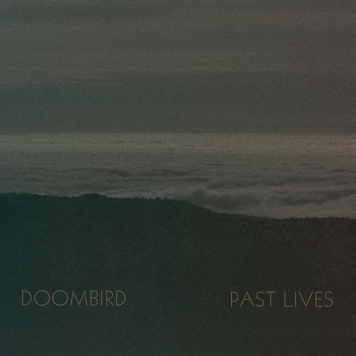 Album cover of Past Lives