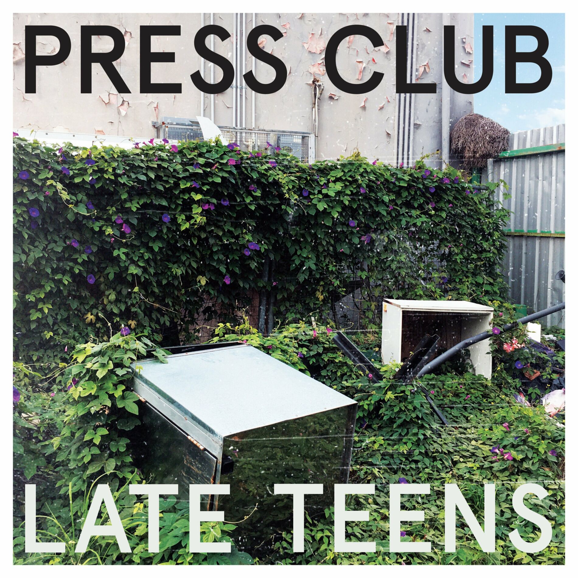 Album cover of Suburbia