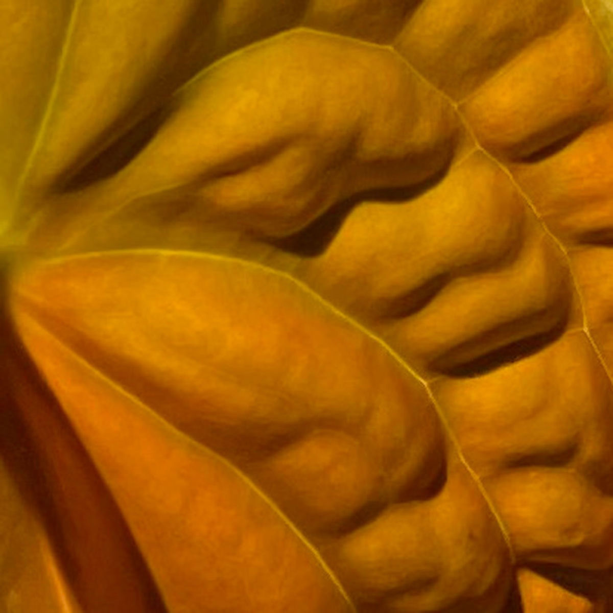 Album cover of Floral Bath