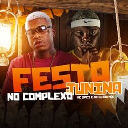 Cover of Festa Junina no Complexo