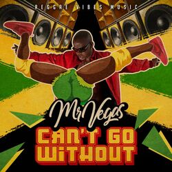 Cover of Can't Go Without