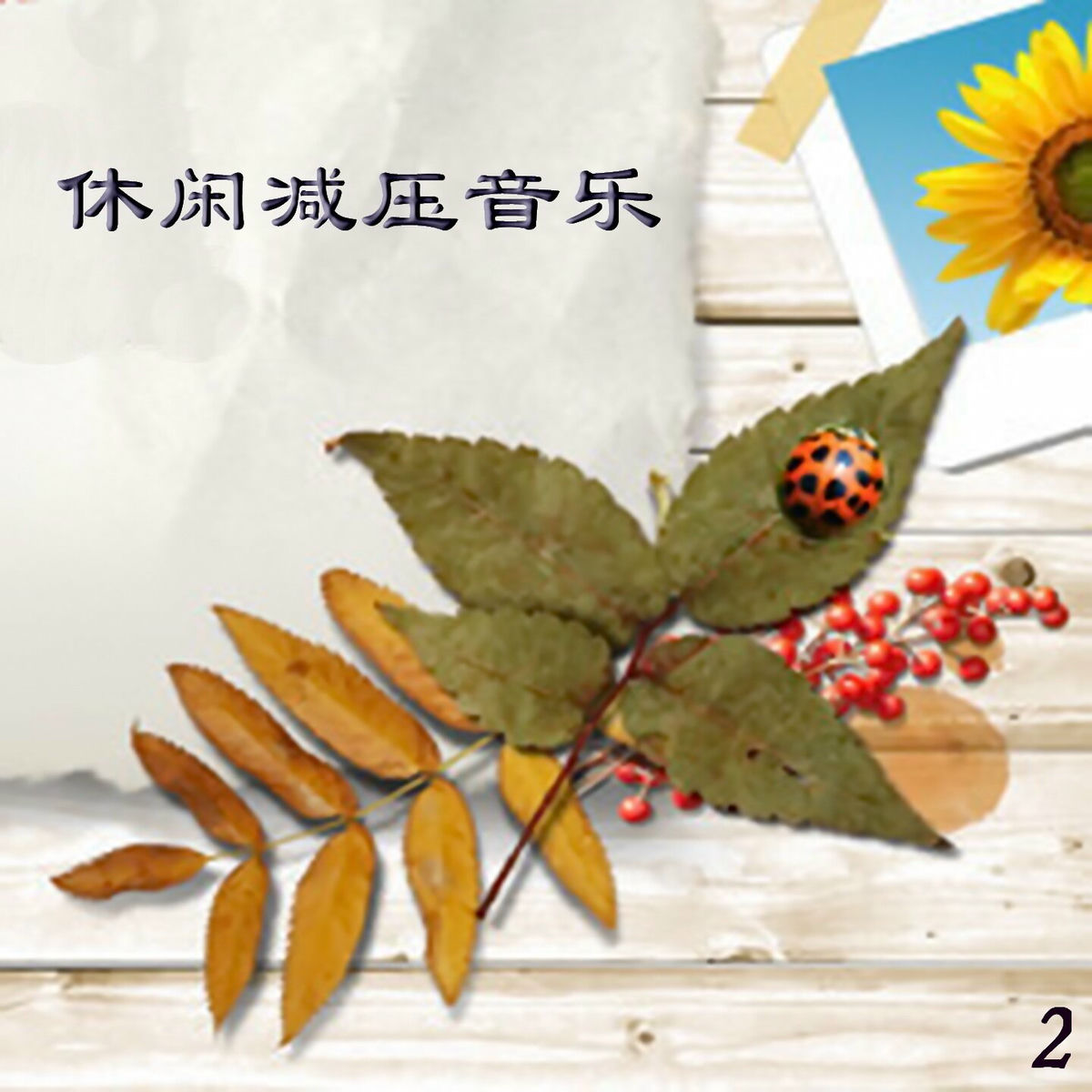 Album cover of 休闲减压音乐 2