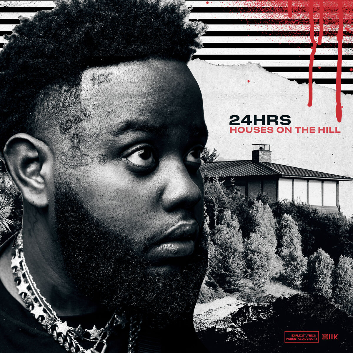 Album cover of HOUSES ON THE HILL