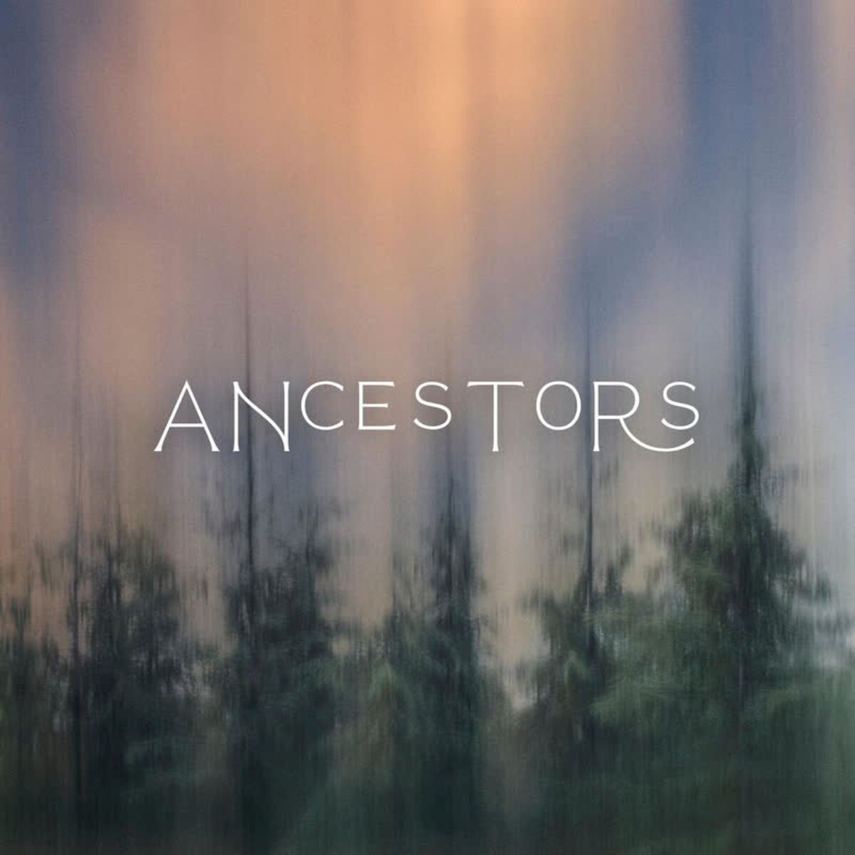Album cover of Ancestors