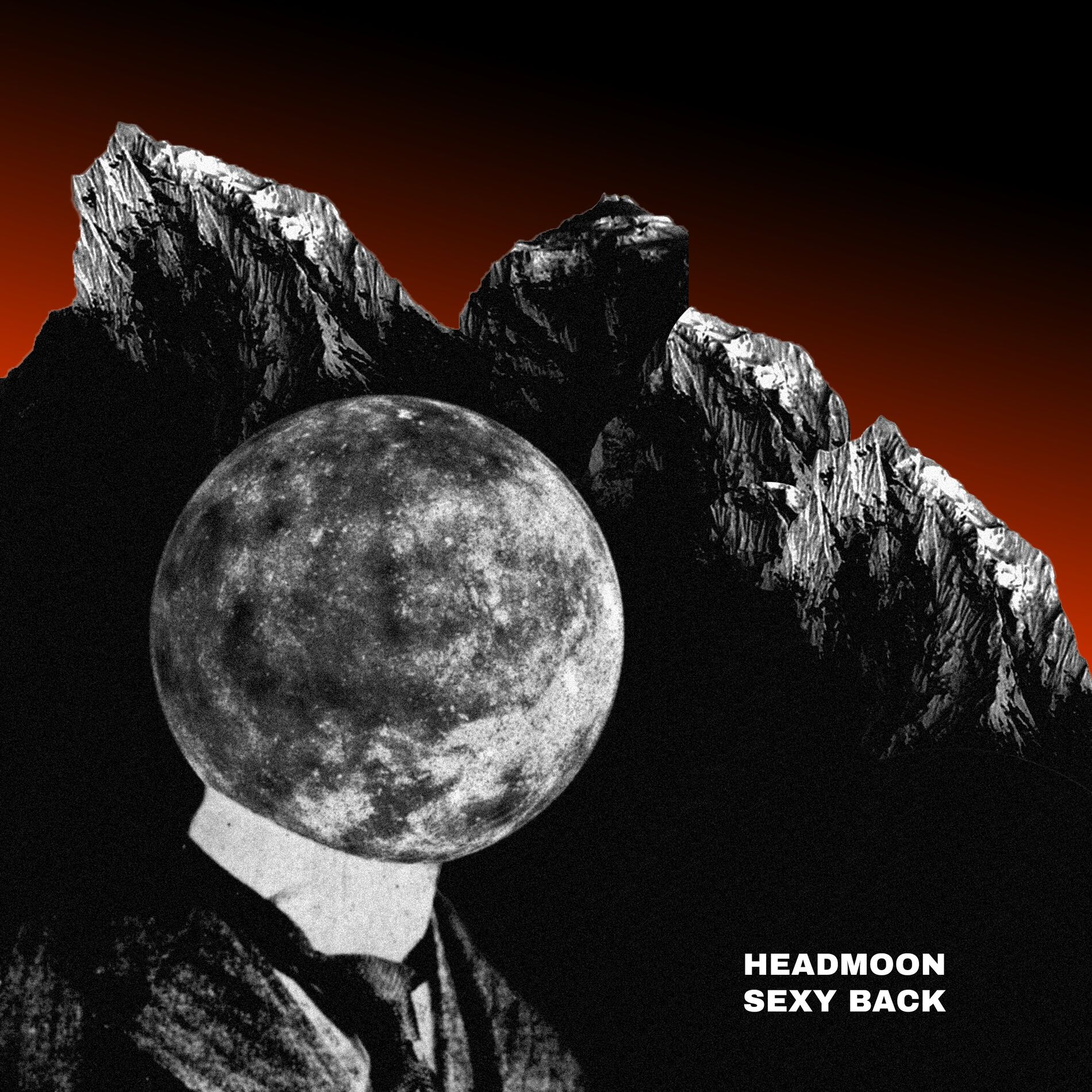 Album cover of Sexy Back