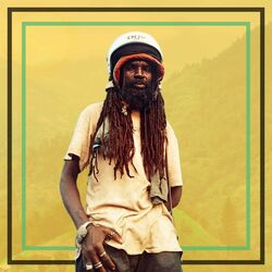 Cover of Irie
