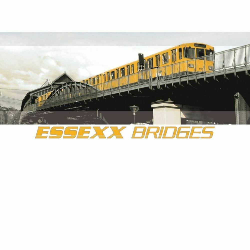 Picture of Bridges (Bonus)