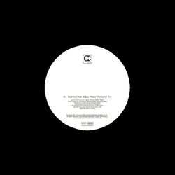 Cover of Tides - Ripperton Mix, Till the End (Panoptikum Instrumental Mix)