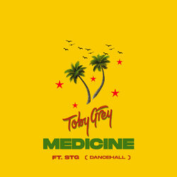 Cover of Medicine (Remix)