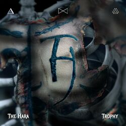 music cover