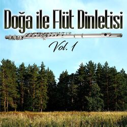 Cover of Doğa İle Flüt Dinletisi, Vol. 1