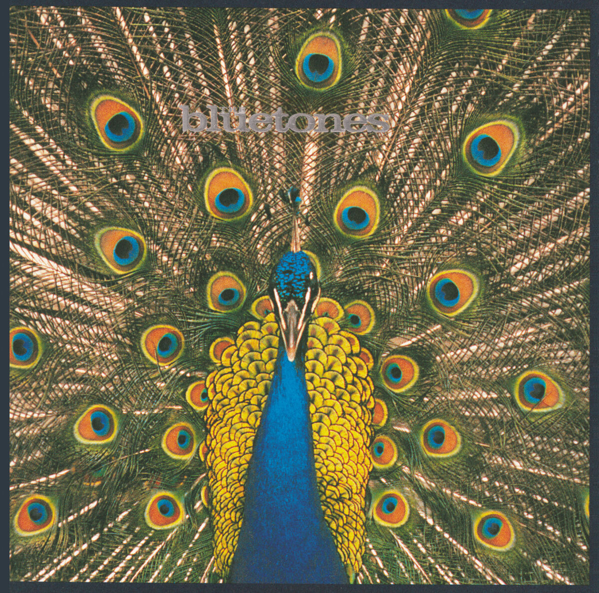 Album cover of Talking To Clarry