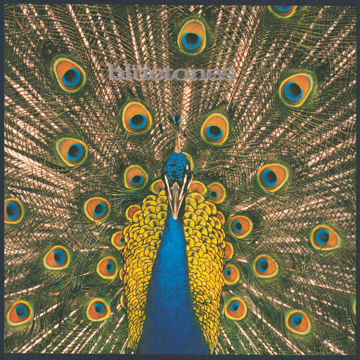 Album cover of Expecting To Fly