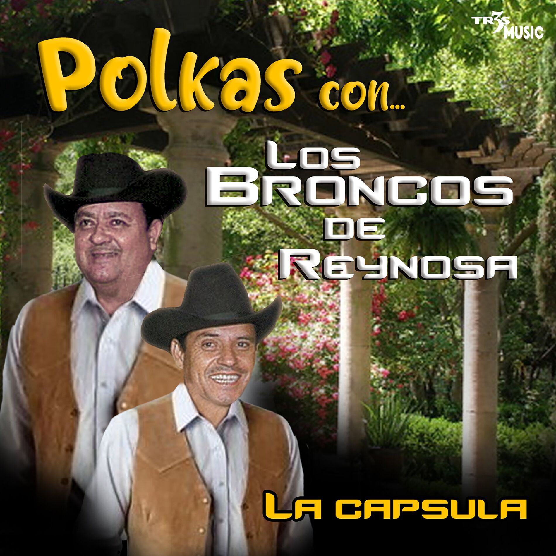 Album cover of La Capsula