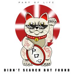 Cover of Didn‘T Search but Found