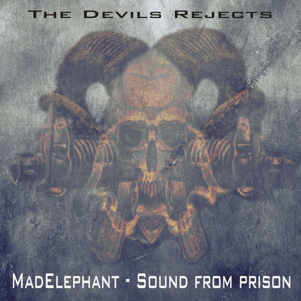 Picture of Sound From Prison