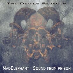 Cover of Sound From Prison