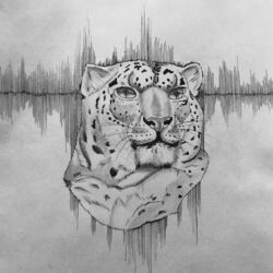 Cover of 22