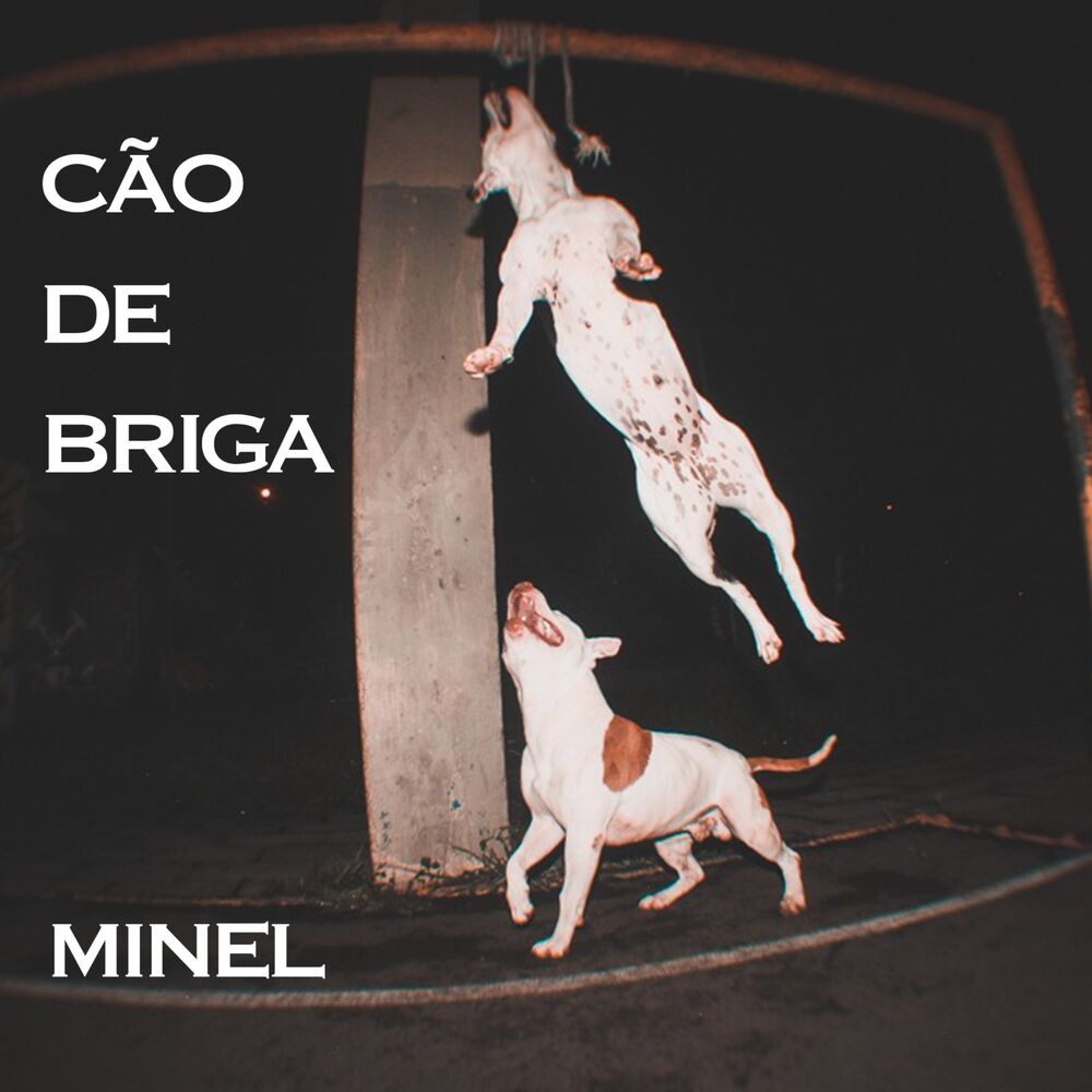 Picture of Cão de Briga
