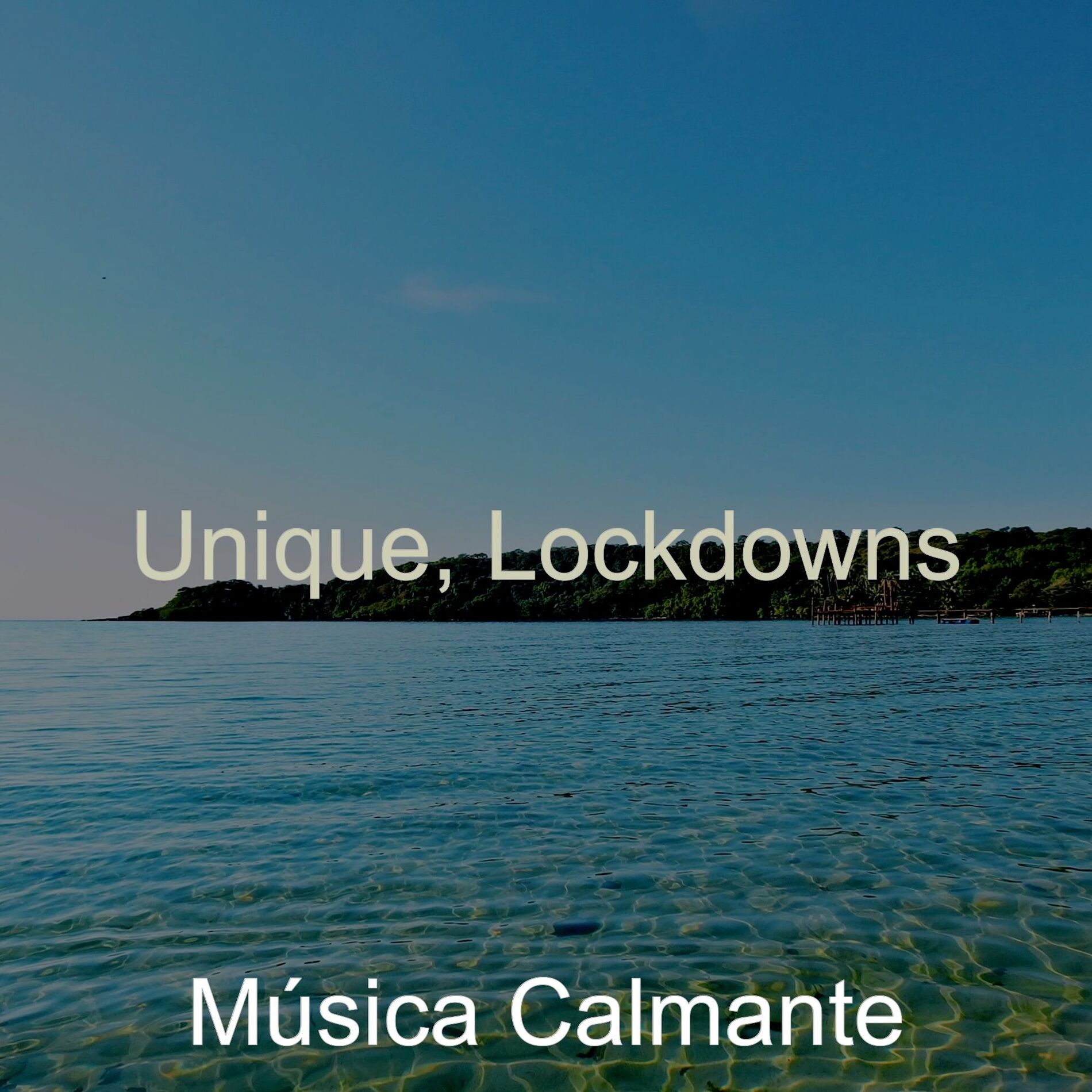 Album cover of Unique, Lockdowns