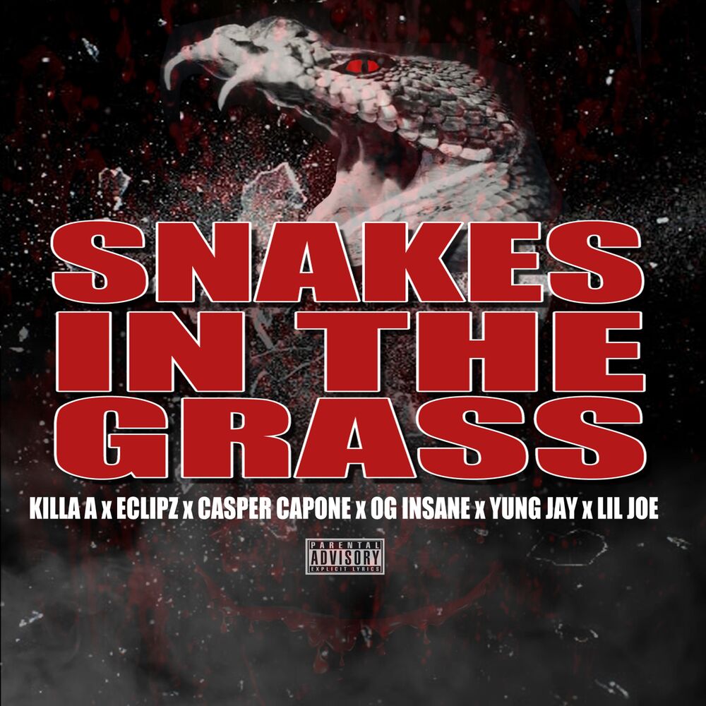 Picture of Snake in the Grass (feat. Eclipz, OG Insane, Lil Joe & Yung Jay)