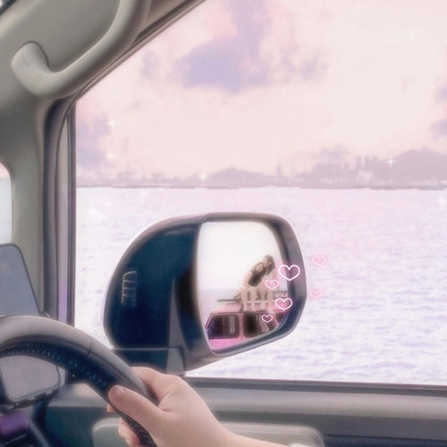 passenger princess
