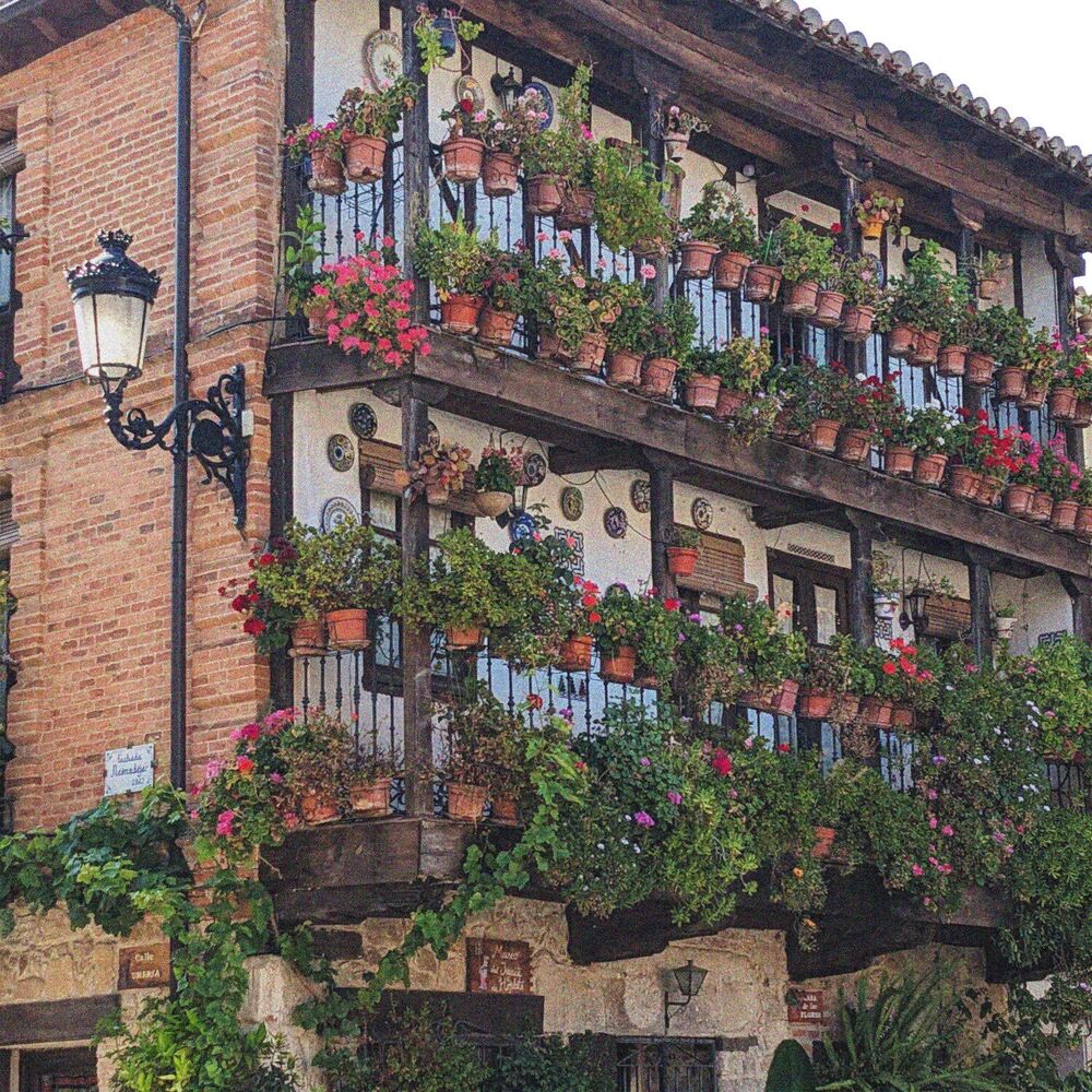Picture of Aquí