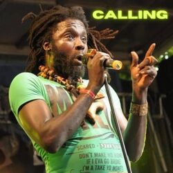 Cover of Calling