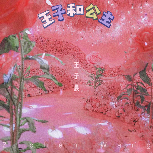 王子和公主