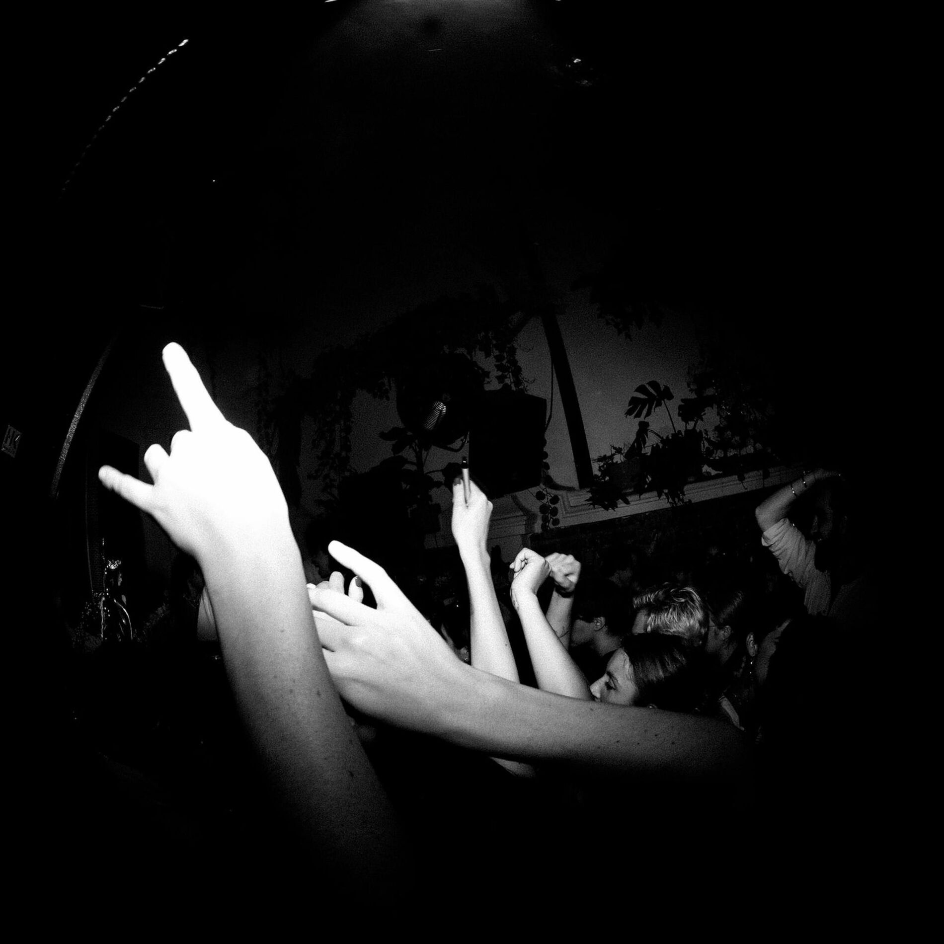Album cover of NIENTIENDO