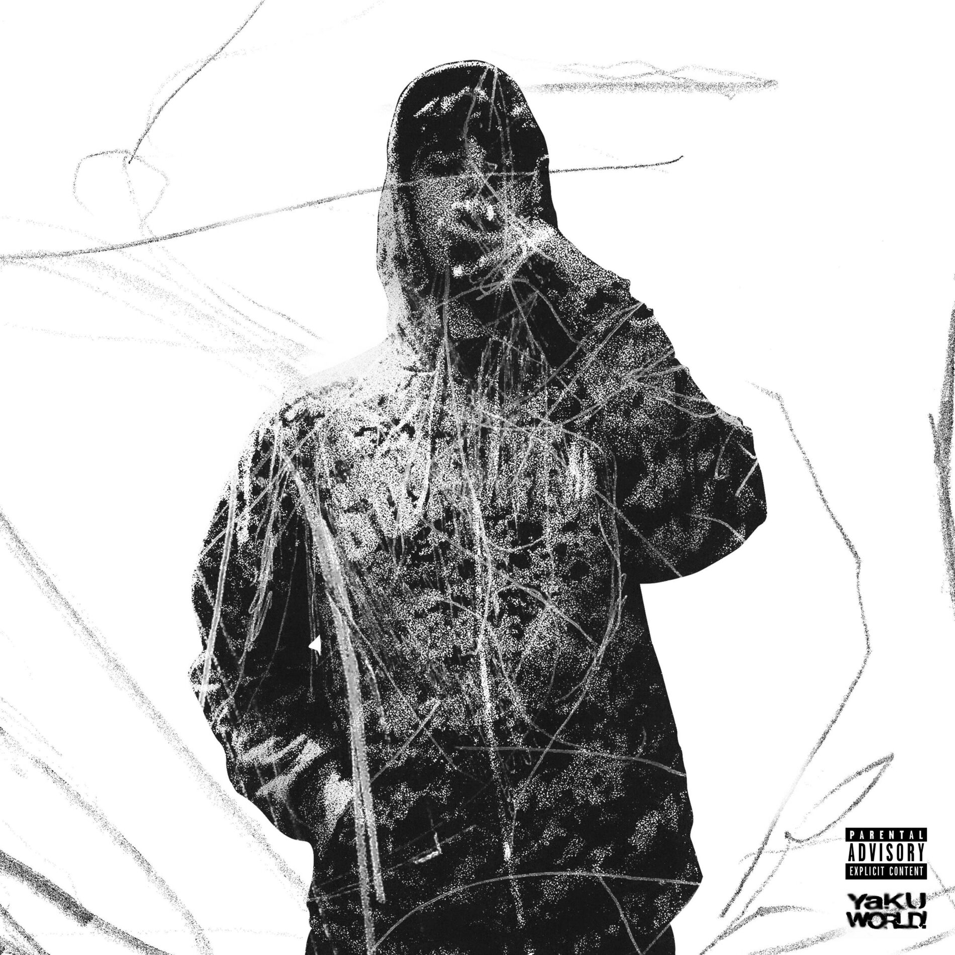 Album cover of Functional Addict