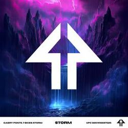 Cover of Storm