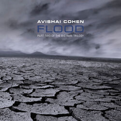 Cover of Flood