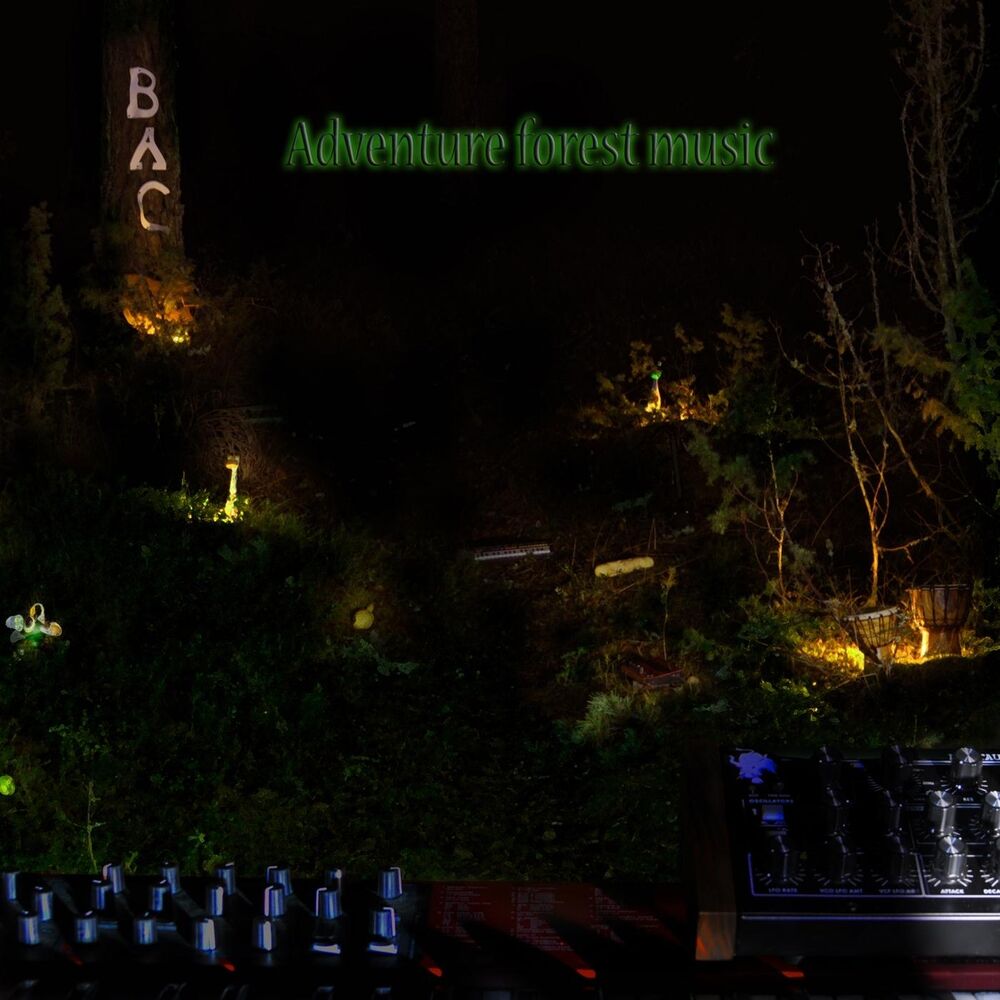 Picture of Adventure forest music