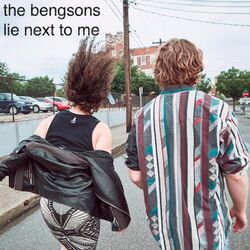Cover of Lie Next to Me