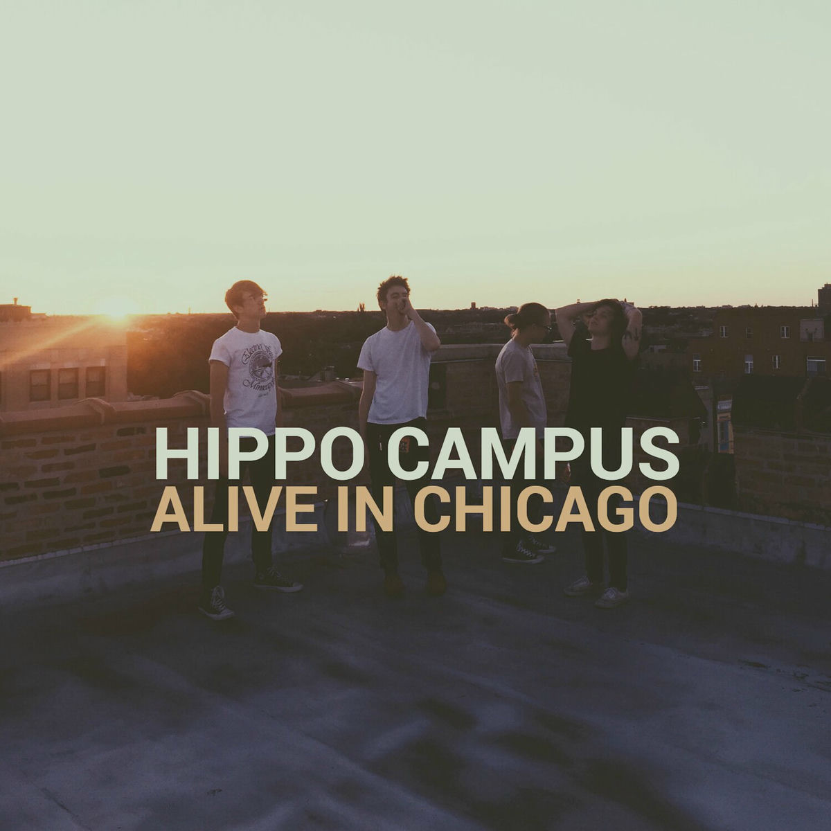 Album cover of Alive in Chicago