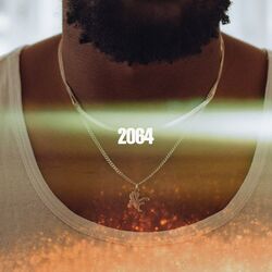 Cover of 2064