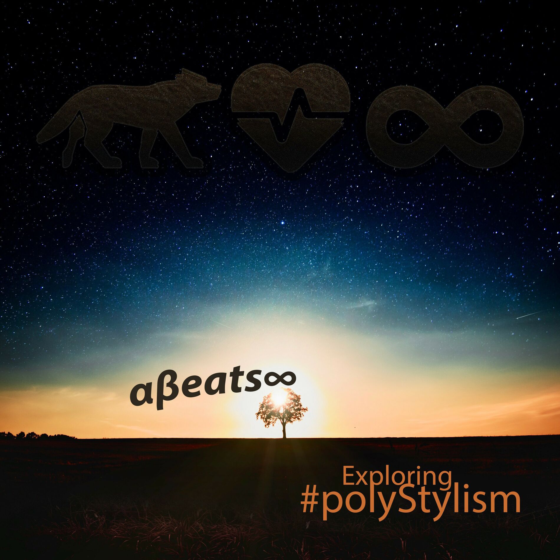 Album picture of Exploring #polyStylism