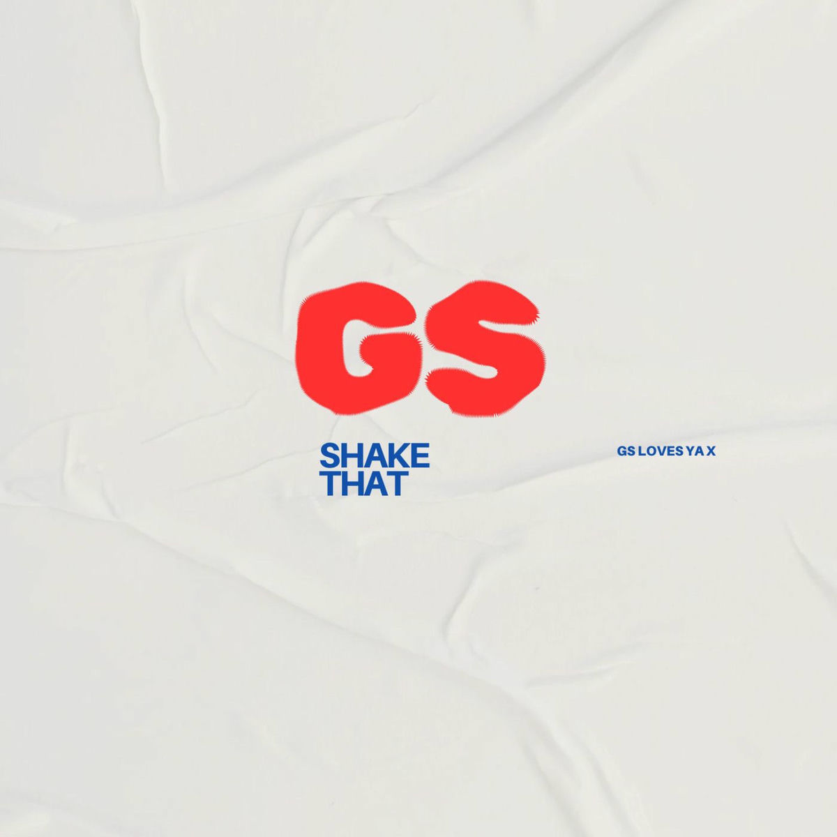 Album cover of Shake That