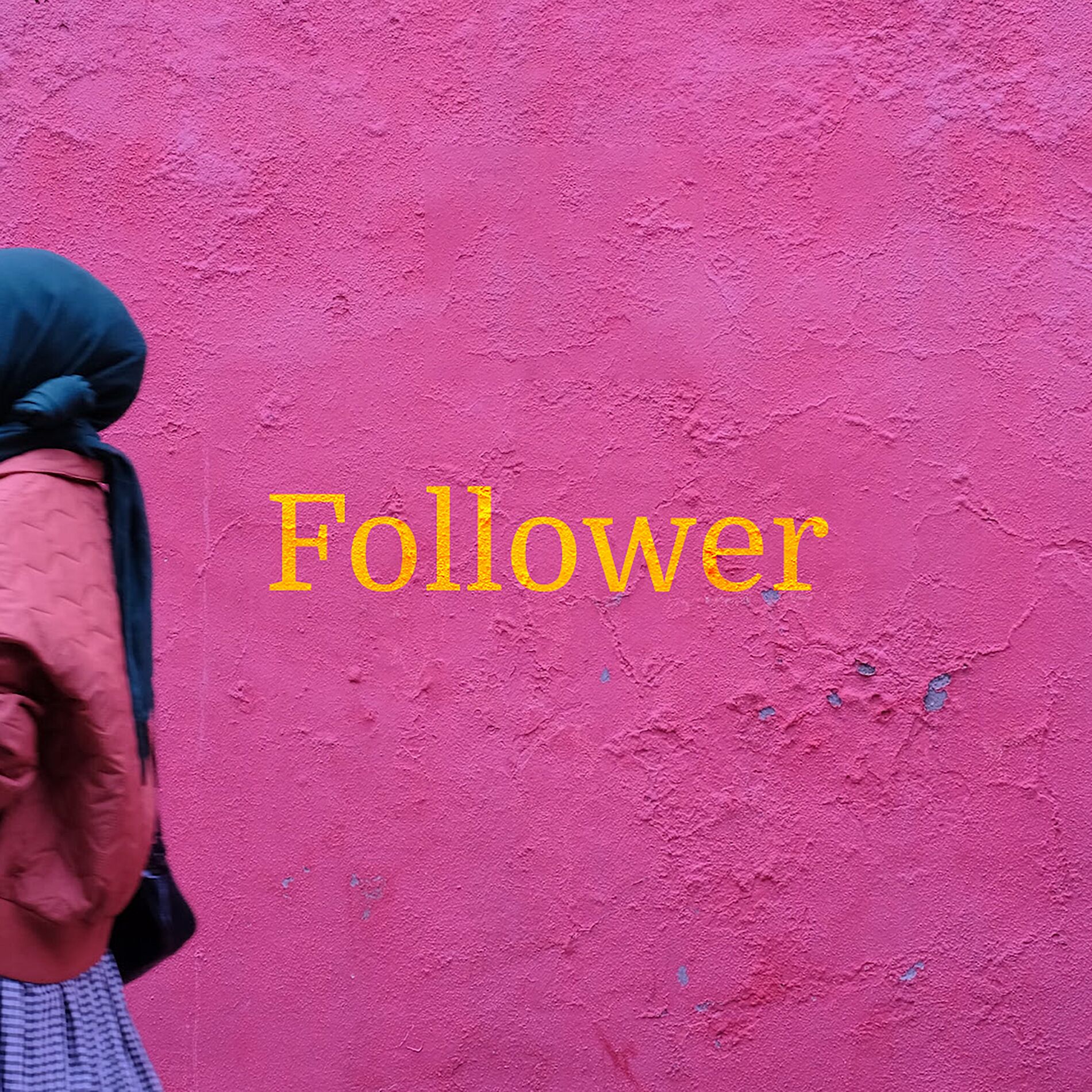 Album cover of Follower