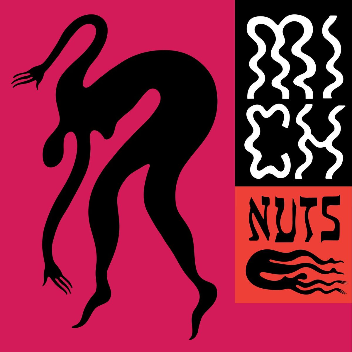 Album cover of Nuts