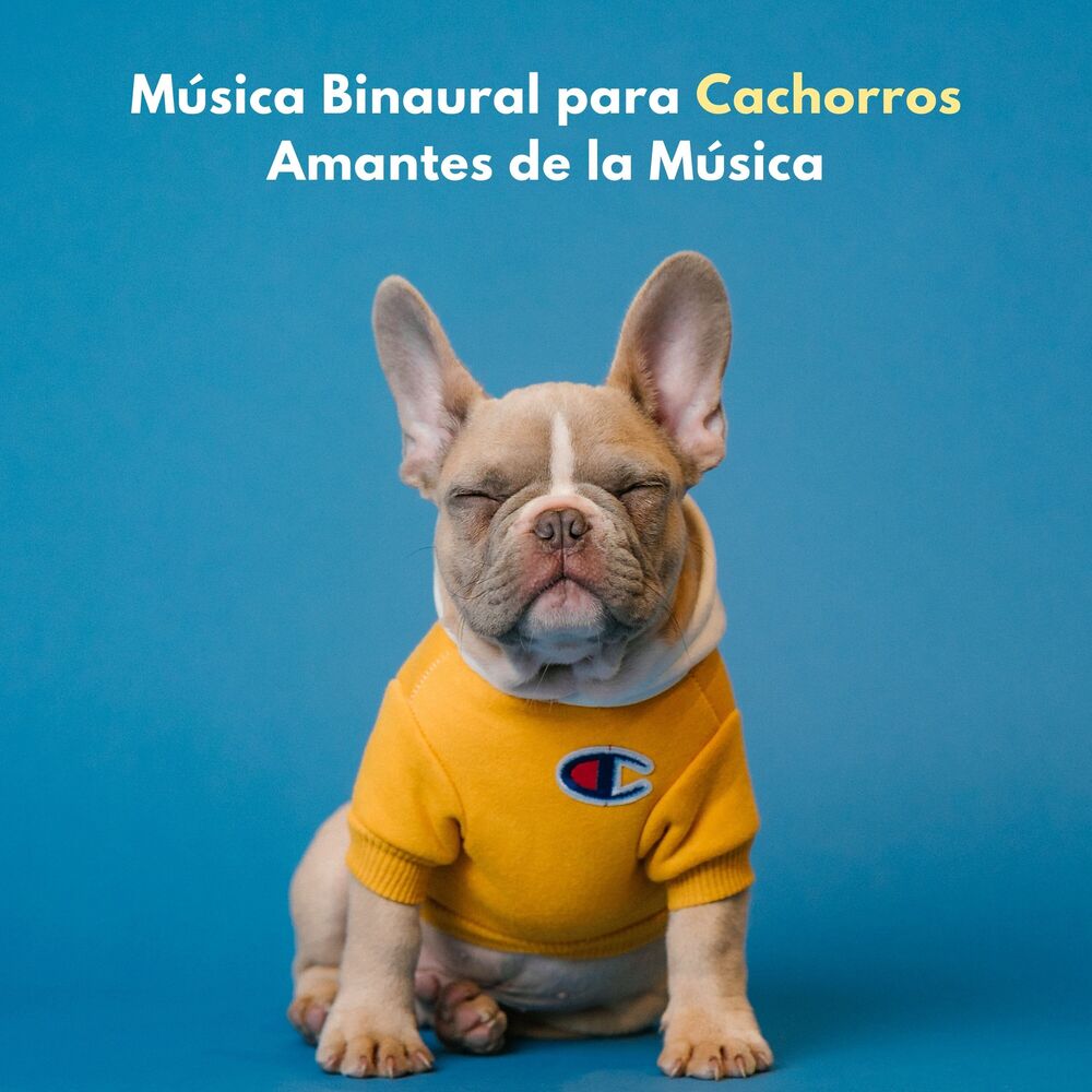 Picture of Música Binaural Para Cachorros Amantes De La Música