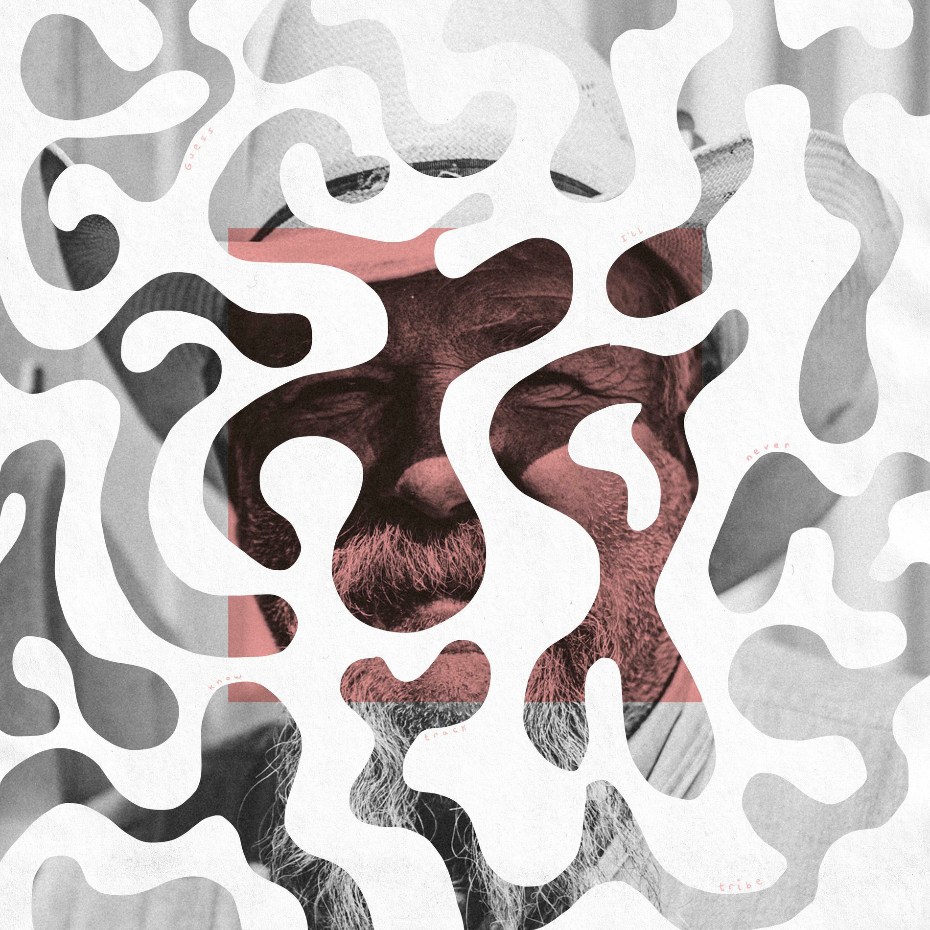 Album cover of Guess I'll Never Know