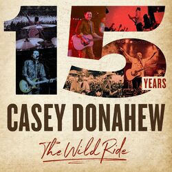 Cover of 15 Years, the Wild Ride